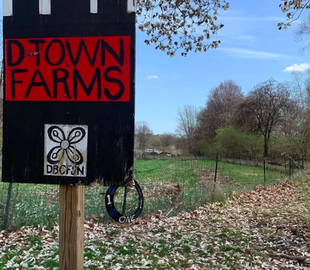 D-Town Farm 14027 W. Outer Dr.,Detroit; 313-345-3663; d-townfarm.com D-Town Farm works toward increasing food security, justice, and sovereignty in the city. They have seven acres of land, producing fruits, vegetables, and herbs. They also offer bee-keeping, composting, farm tours, annual harvest festivals, and extended-season growing. Photo via @dtown_farm/Instagram