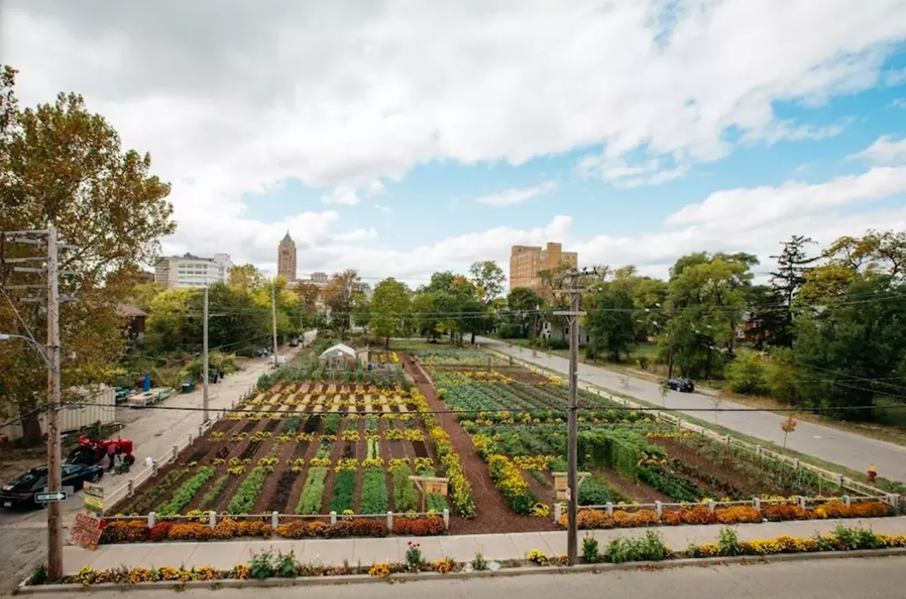 Michigan Urban Farming Initiative 7432 Brush St., Detroit; 313-444-6834; miufi.org Located in North End, MUFI&#146;s mission is to promote sustainability, education, and community through agriculture. They are building urban agriculture by redeveloping three acres of land. Photo via Google Maps 