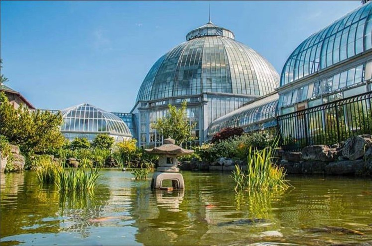  Belle Isle Conservatory  
Relax and immerse yourself in the one of the nation&#146;s largest collections of orchids. Thankfully, they won&#146;t make small talk. 
Photo via Instagram, user HilssPhotography 