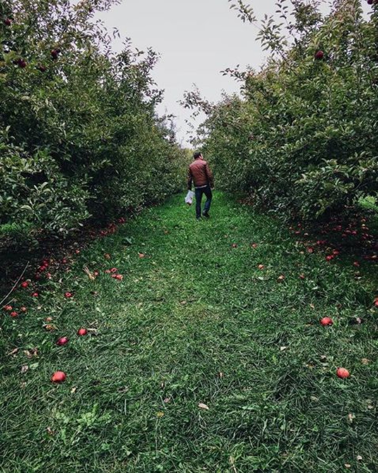 Miller&#146;s Big Red Apple Orchard 
4900 32 Mile Rd., Washington Twp.; 586-752-7888; millers-bigred.com  
Miller&#146;s has wagon rides, a petting farm and the alarmingly titled &#147;Straw Mountain.&#148; This year there will be U-Pick raspberries, pumpkins, and apples. Photo via @chelseahartner. 