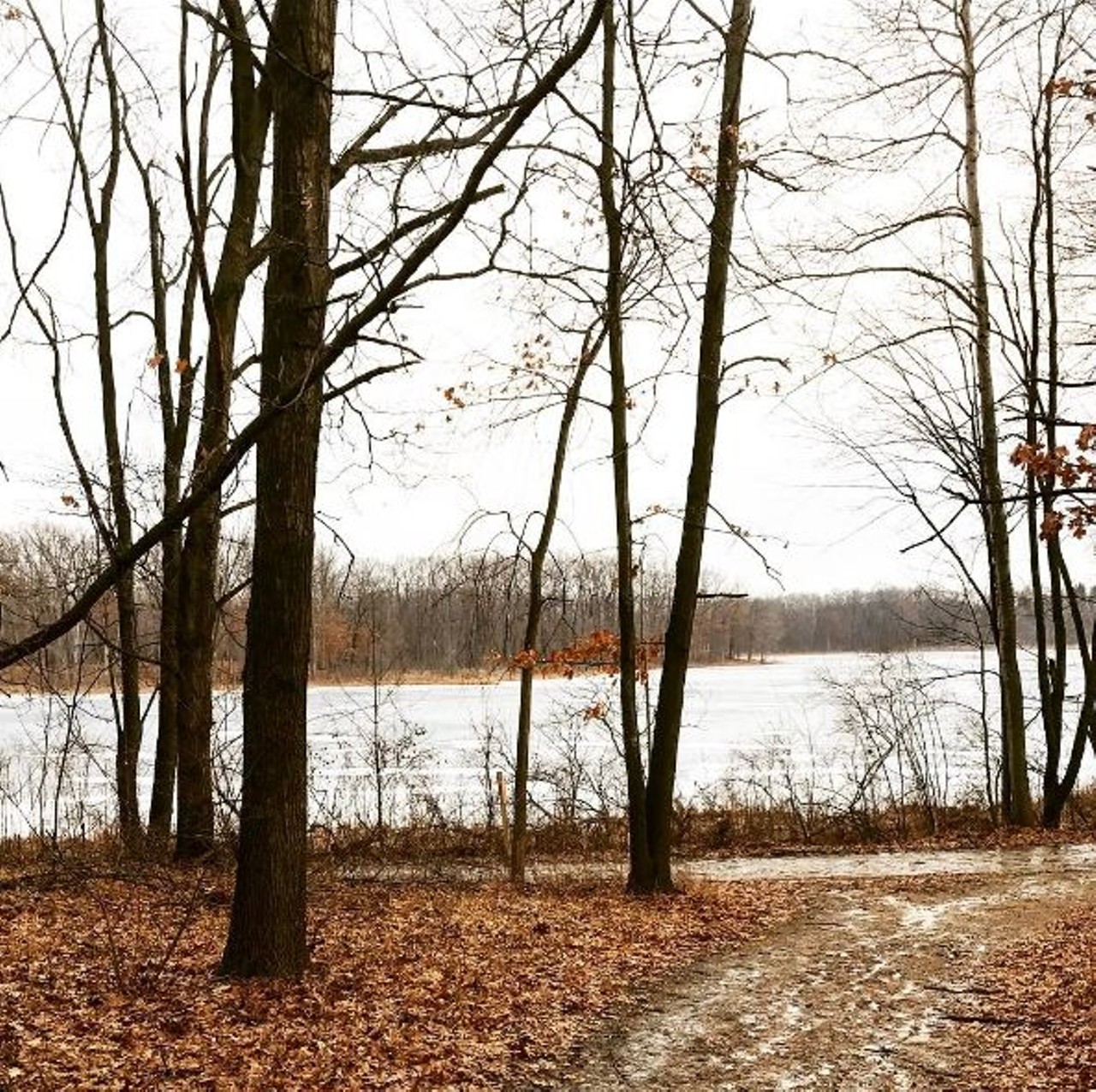 Independence Oaks Park
Clarkston
Aside from taking your senior pictures here, there is 12-plus miles of trails for you to get lost in. How perfect?
Photo via Instagram