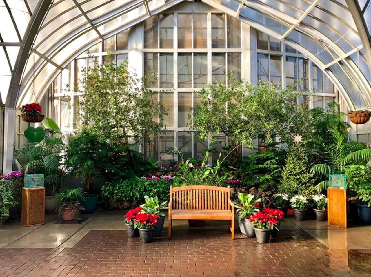 Anna Scripps Whitcomb Conservatory
4 Inselruhe Drive; 313-821-5428; belleisleconservancy.org
Designed by Albert Kahn and built in 1904, this intricately designed greenhouse holds collections of rare plants from around the world. The event space offers a picturesque backdrop to your vows.&nbsp;
Photo via Belle Isle Conservancy