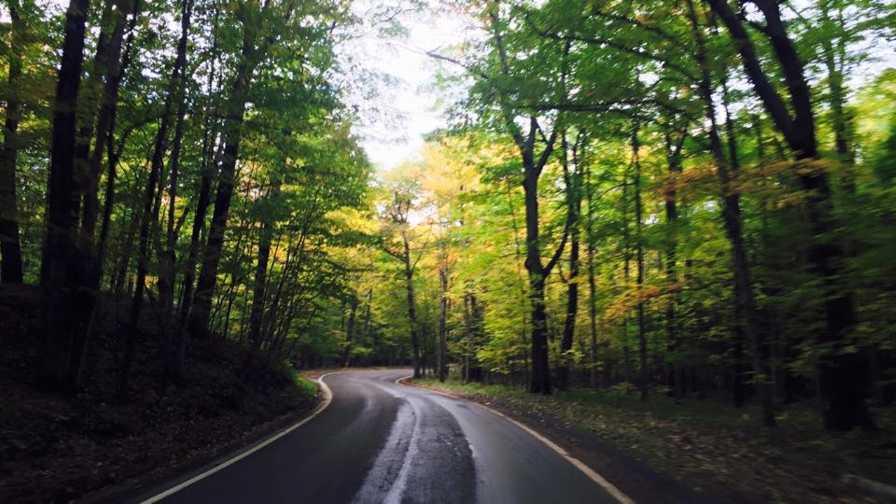 Michigan&#146;s Tunnel of Trees, M119, Emmet County
Long walks on the beach? How about long drives through the trees? M119 is shadowed by a tunnel of trees for 27.55 miles for an easy on the eyes, mind-clearing drive. (Photo via Facebook, Tunnel of Trees)