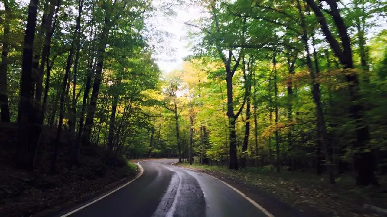 Michigan&#146;s Tunnel of Trees, M119, Emmet County Long walks on the beach? How about long drives through the trees? M119 is shadowed by a tunnel of trees for 27.55 miles for an easy on the eyes, mind-clearing drive. (Photo via Facebook, Tunnel of Trees)