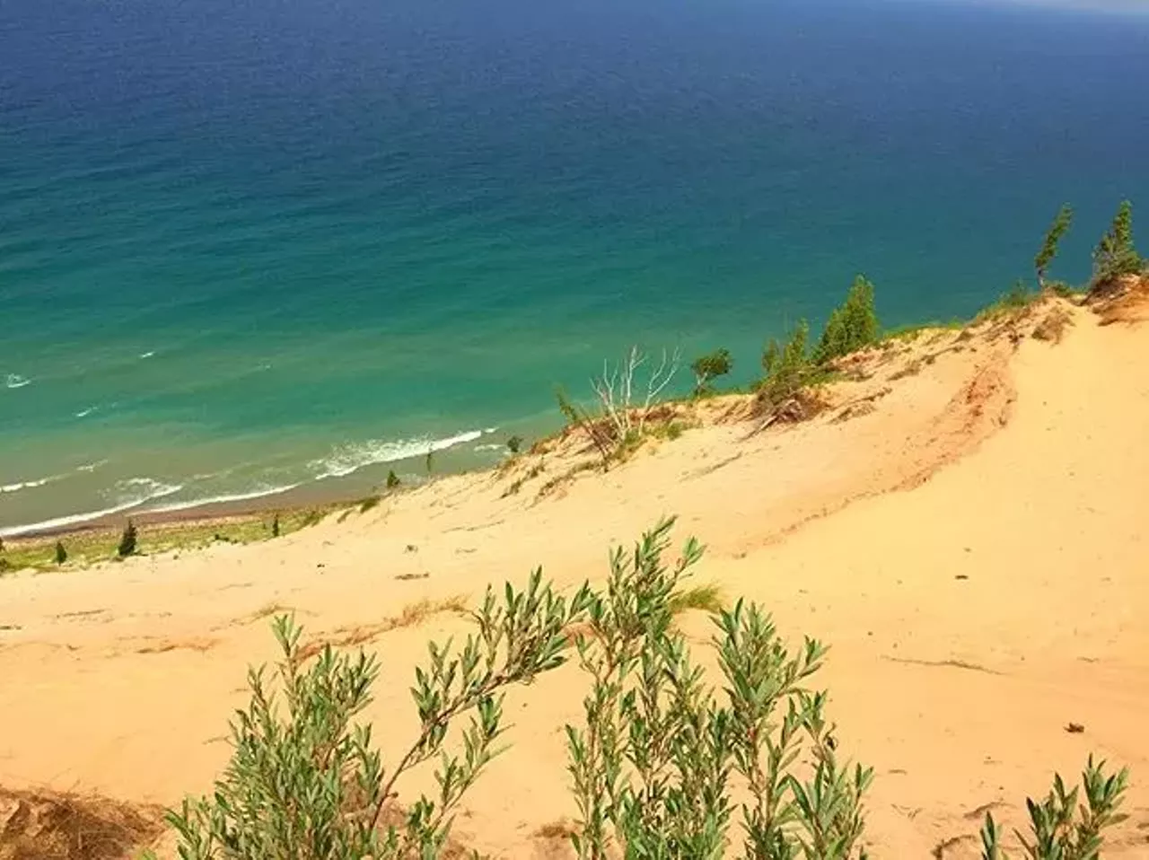 Arcadia Dunes, Arcadia, Michigan Arcadia Dunes double as part of the Sleeping Bear Dunes birding section. With 15 miles of trail to explore the dunes and neighboring forests to explore, Arcadia provides a stellar place for mountain biking and hiking.(Photo via Instagram, @lisazook)