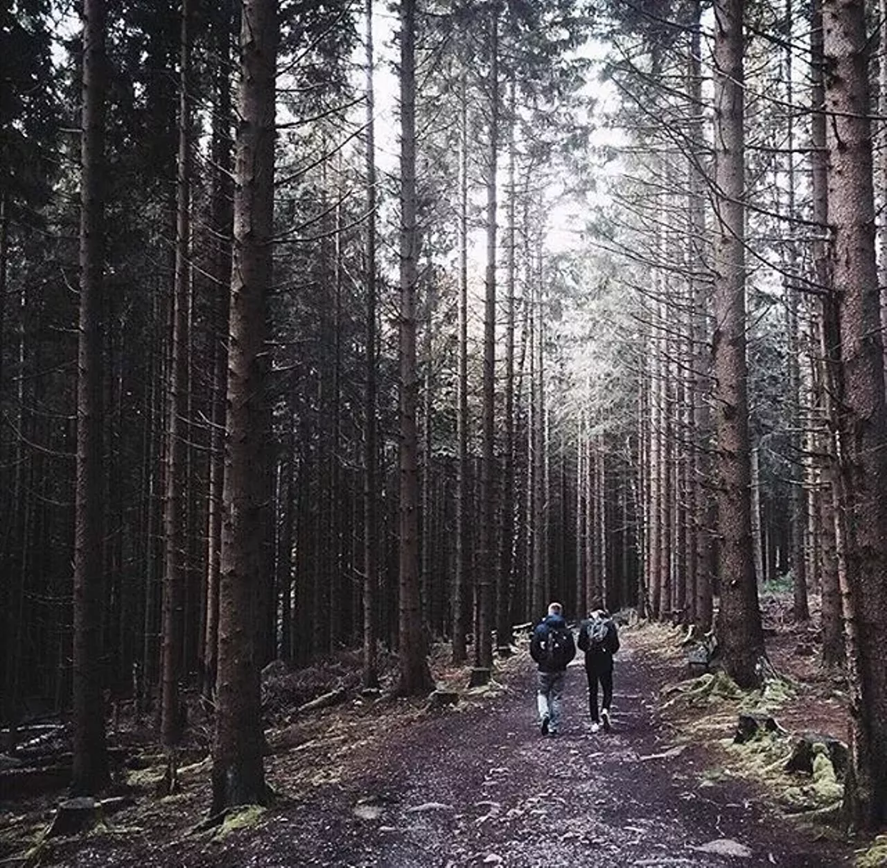 Lost Lake Woods, Lincoln Getting lost in this northern Michigan spot is never a waste of time.(Photo via Instagram, @cvandergraaf13)