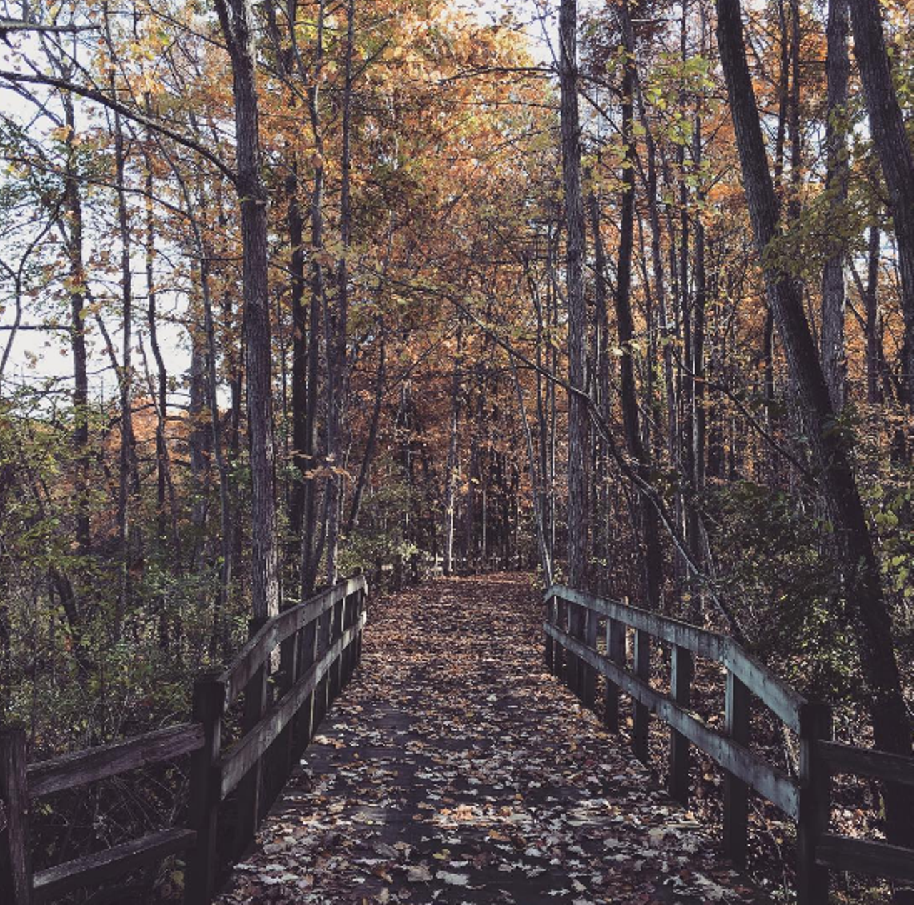 Saturday, 12/17 Holiday Hike and Bonfire @ Oakwoods Nature Center As the weather gets increasingly nippy, the chances to go outside and take in nature get slimmer and slimmer. Luckily, the Oakwoods Nature Center has that in mind. On December 17th, visitors have the chance to hike the nature trail with other guests. Once you&#146;re sufficiently hiked out, there will be cookies, cocoa, and a roaring fire to warm up at as you recoup from all of that activity. Event starts at 6 p.m.; 28700 Oakwoods Rd., Flat Rock; metroparks.com; Tickets are $6.