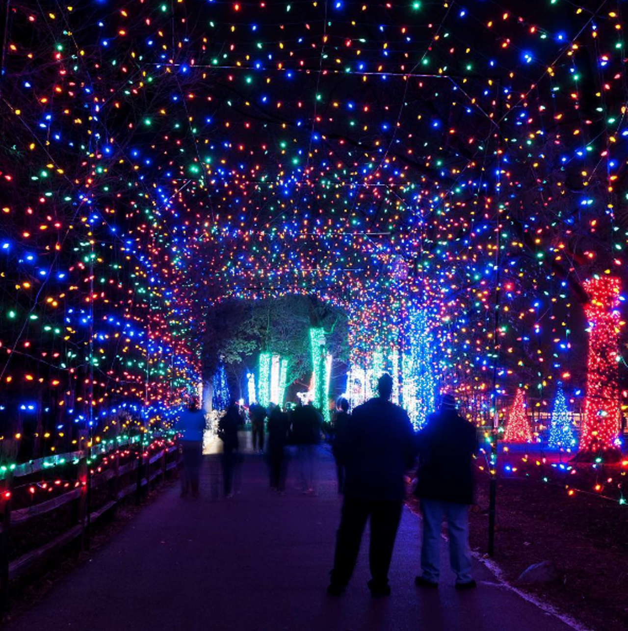 Wednesday, 12/7
Polar Beers
@ The Detroit Zoo
Holiday lights are already great, but they&#146;re even better with Michigan craft beer. Leave the kids at home for this trip to the zoo, where you&#146;re invited to take in over five million LED lights as you imbibe the state&#146;s finest winter brews. You&#146;ll get  12 beer tasting tickets with your admission, but you are able to buy  more. You&#146;ll get to walk the half-mile trail and enjoy some pretty nifty animal ice sculptures while the real animals stay toasty!
Event starts at 6 p.m.; 8450 W. 10 Mile Rd., Royal Oak; detroitzoo.org; Tickets are $40-$60.