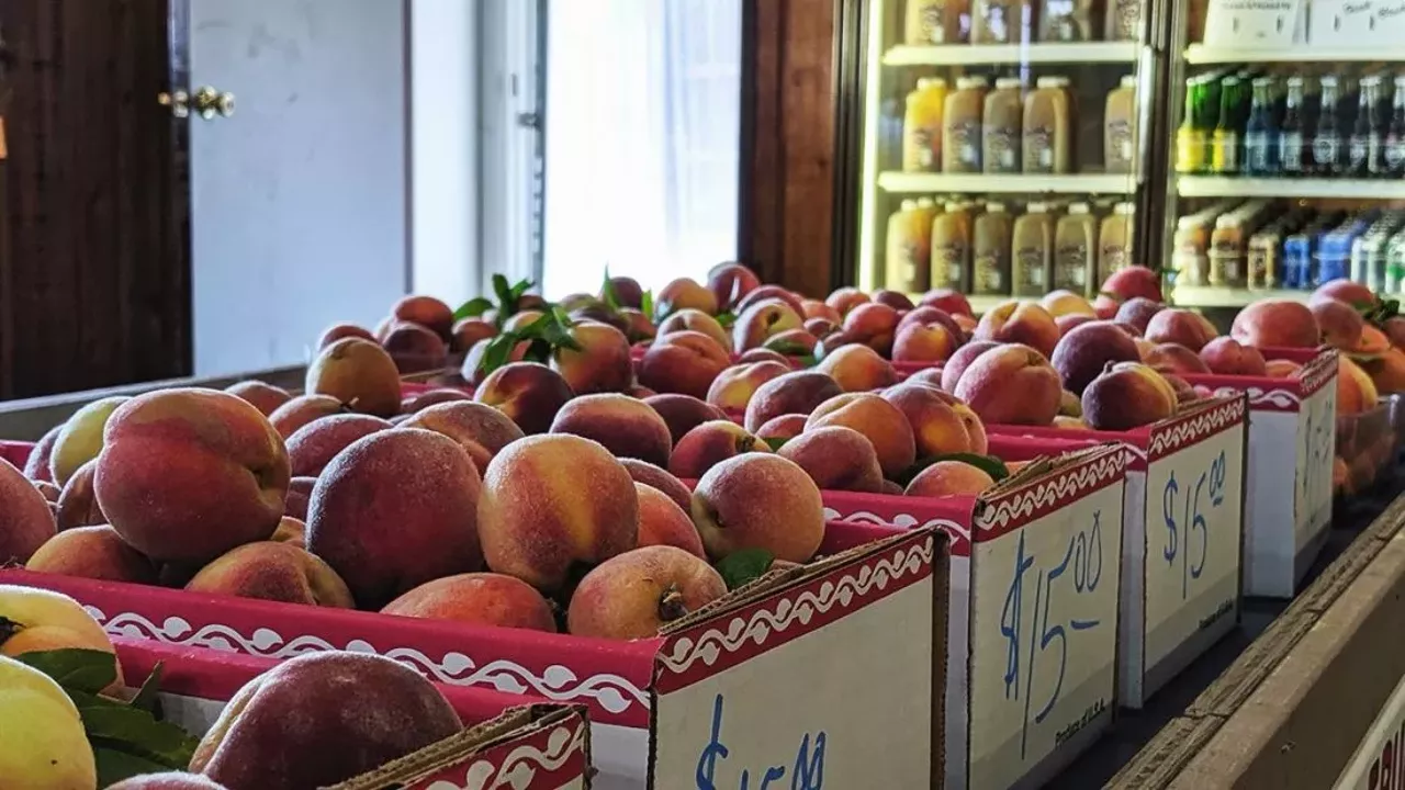 Erie Orchards and Cider Mill 1235 Erie Rd., Erie; 734-848-4518; erieorchards.com Home of both the Apple Festival and Harvest Festival, Erie Orchards offers hayrides, a corn maze, and a large market where visitors can purchase bushels of orchard-grown apples or they can pick their own. Photo via Erie Orchards and Cider Mill / Facebook