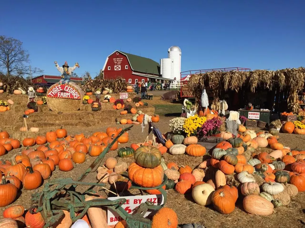 Three Cedars Farm 7897 Six Mile Rd., Northville, MI 48168; 248-437-8200; threecedarsfarm.org Three Cedars Farm has the best of both worlds. Complete with a U-pick apple orchard and pumpkin patch, they also have a corn maze, and offer hayrides and provide bonfires on the chillier days. Three Cedars is known for their Donut Hut, slushy cider, and their sweet kettle corn. Photo via Three Cedars Farm / Facebook