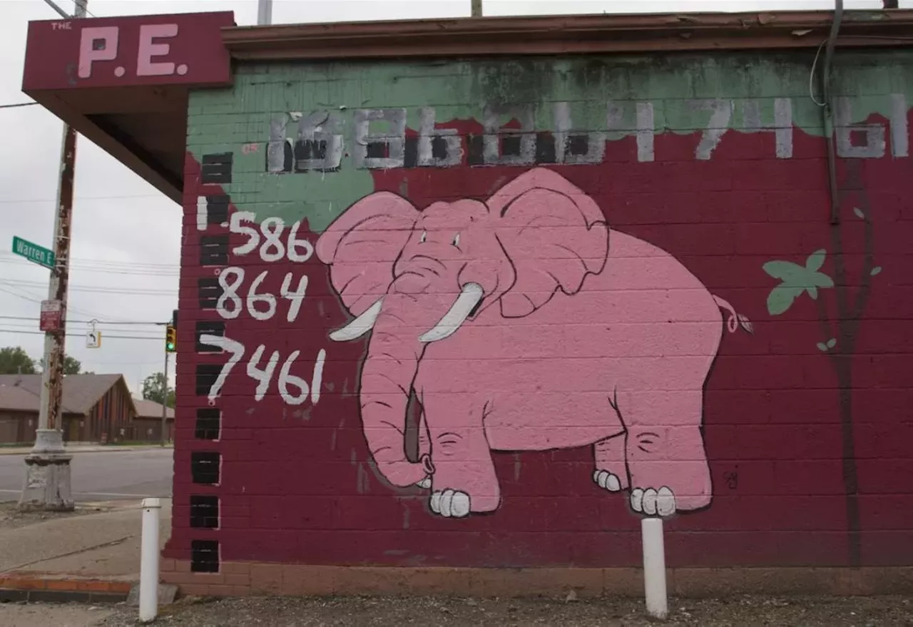 Image: 25 photos that show Detroit is pretty in pink