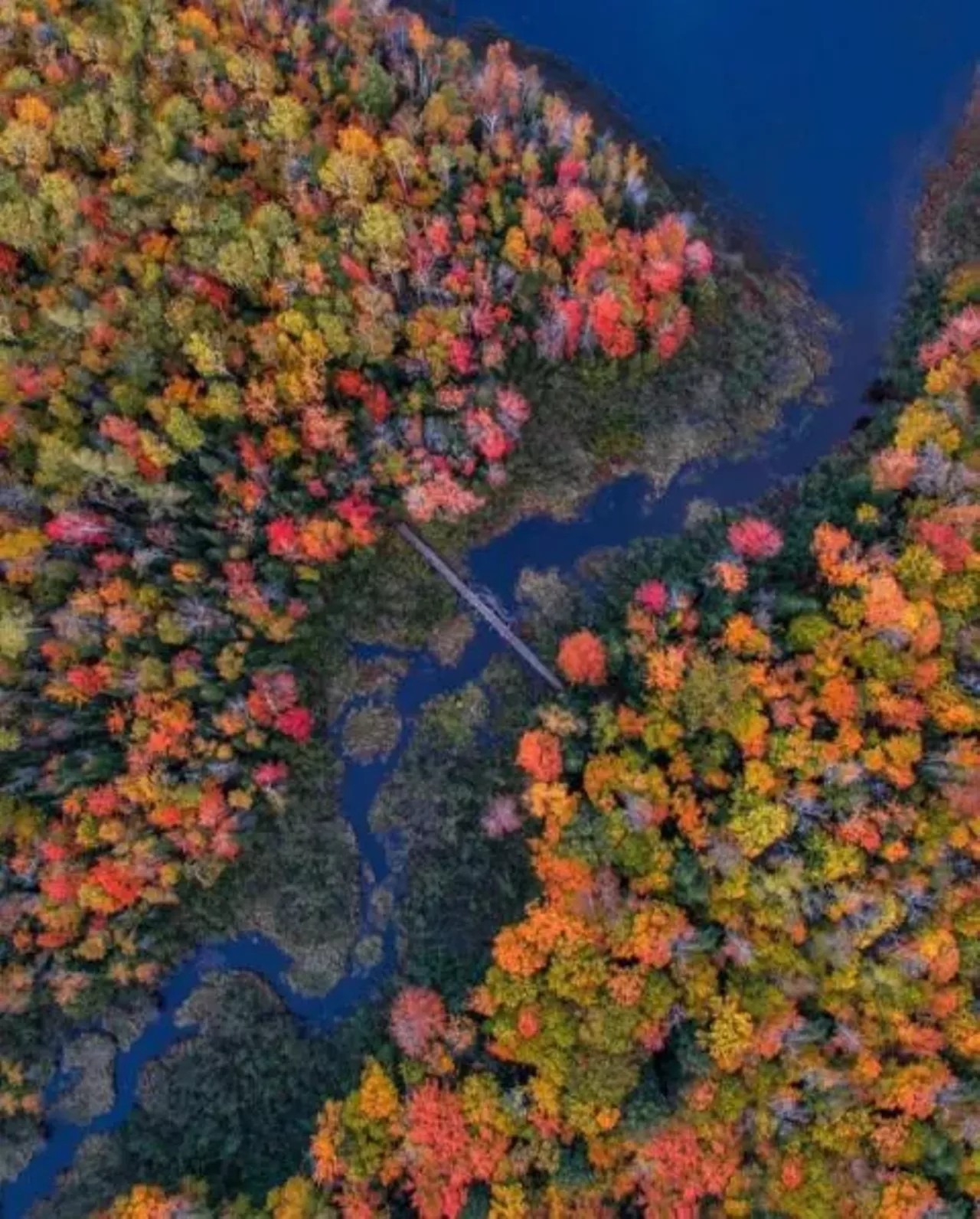 Porcupine Mountains Wilderness State Park Ontonagon Embracing the ever-picturesque Lake of the Clouds, the beloved &#145;Porkies&#146; are fan favorite scenic destination that offers a number of hiking trails for varying skill levels that will take you up the mountains, overlooking waterfalls, through secluded woods and more. Photo via IG user @puremittenpride