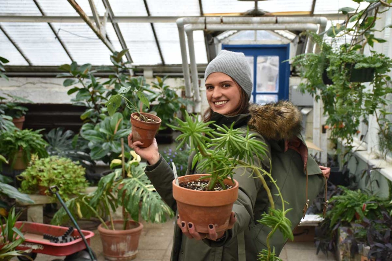 
Cranbrook Winter Plant Sale
When: Feb. 9 from 10 a.m.-3 p.m. and Feb. 10 from 10 a.m.-2 p.m.
Where: Cranbrook House & Gardens, Bloomfield Hills
What: A plant sale
Who: Plant lovers
Why: Brighten up your house with some greenery. 