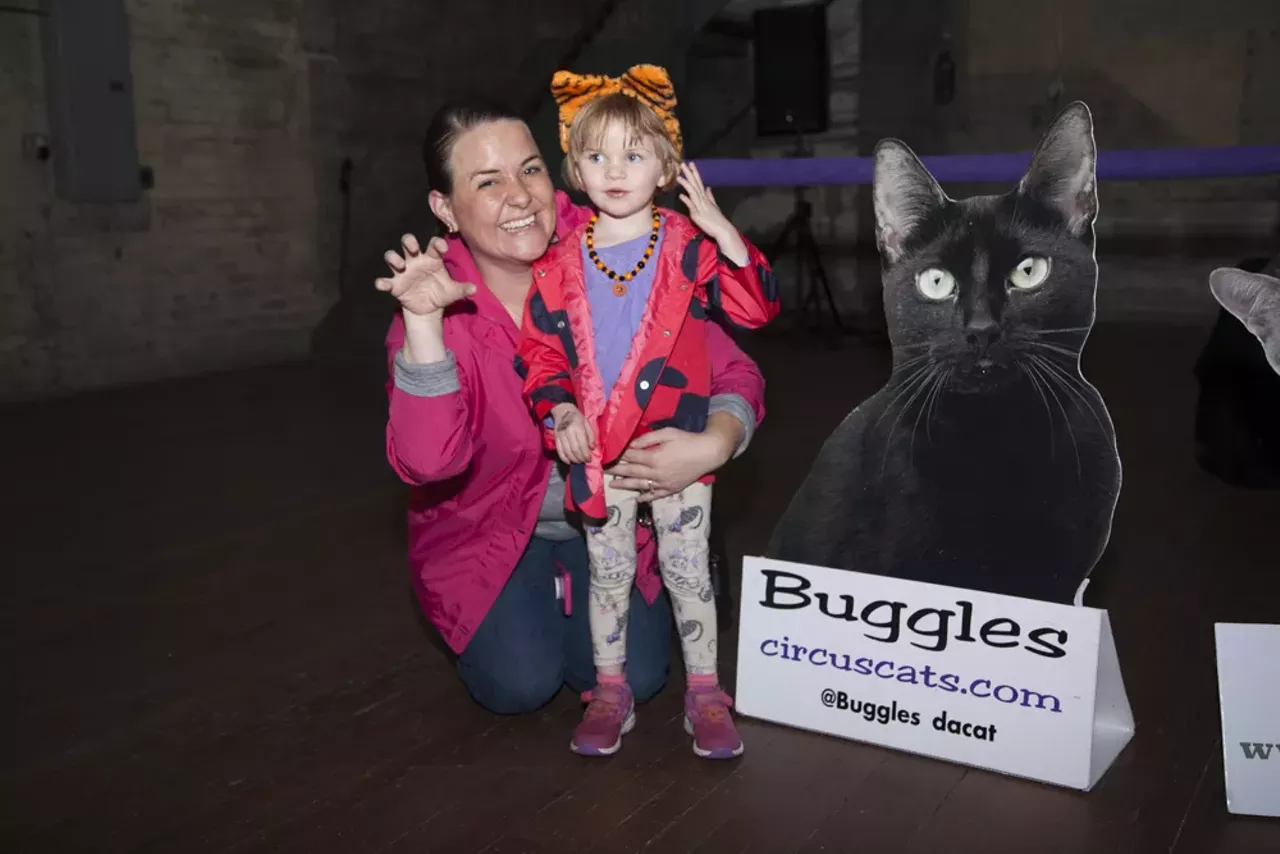 Image: 29 purrr-fect photos from the Acro Cats performance at Jam Handy