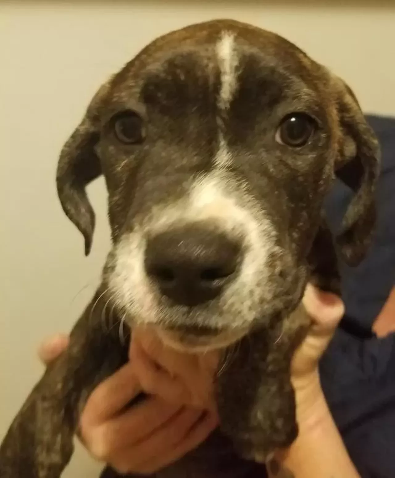 Sassy may be sassy, but she'll warm up to you.