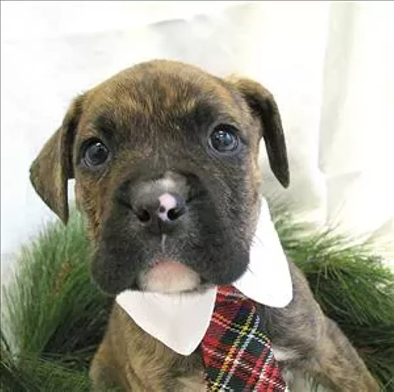 Kristoff is a classy gentlemen. Just look at that tie!