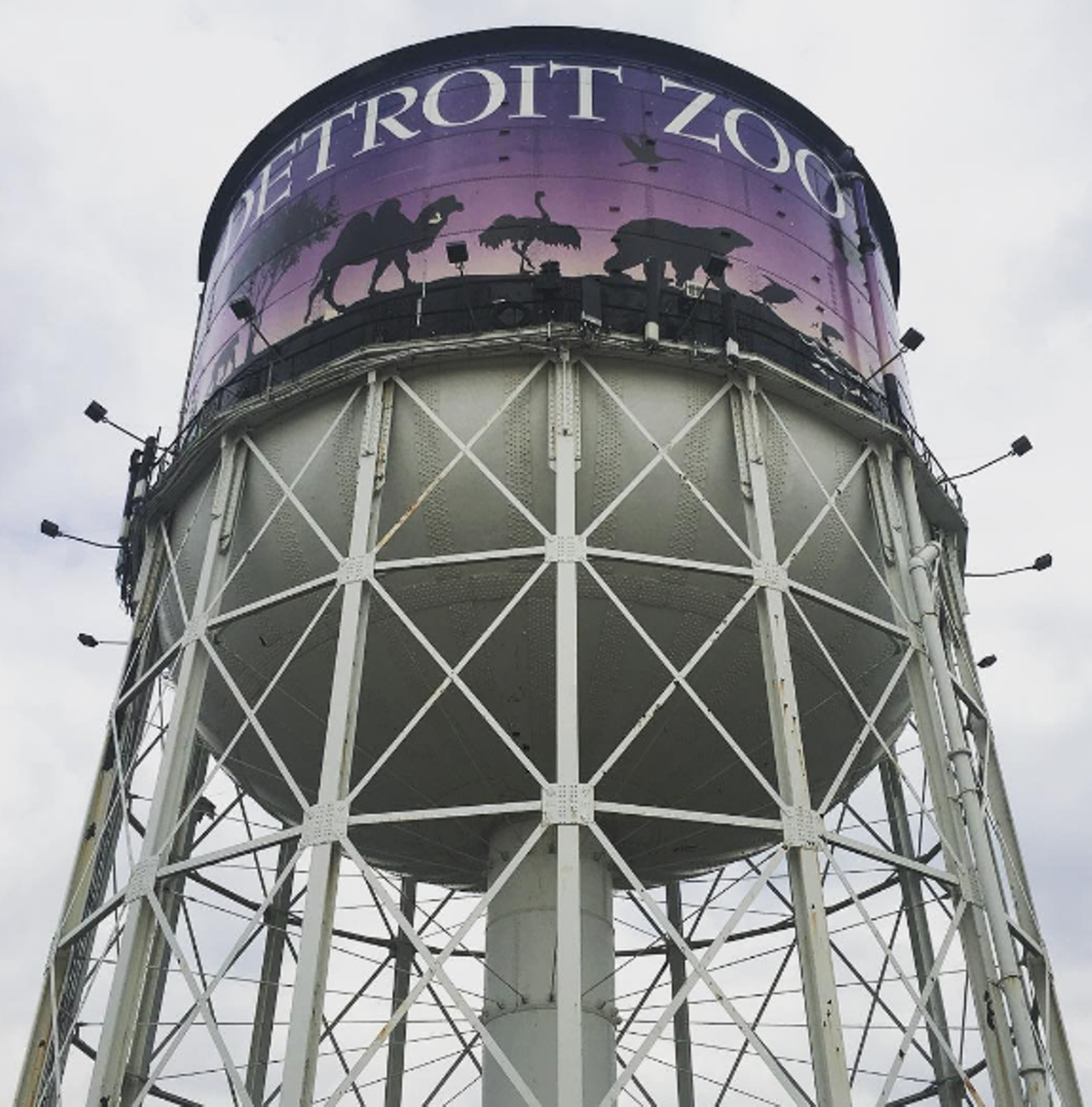 Detroit Zoo- This may not be up every person&#146;s ally, but if you want a wedding that is immersed in nature (and animals) then the zoo will be perfect. The best part is that you can have the ceremony in different parts of the zoo &#151; from the butterfly house to the giant fountain, the backdrop is yours to pick. 8450 W 10 Mile, Royal Oak. Photo via Instagram user @scottyam9