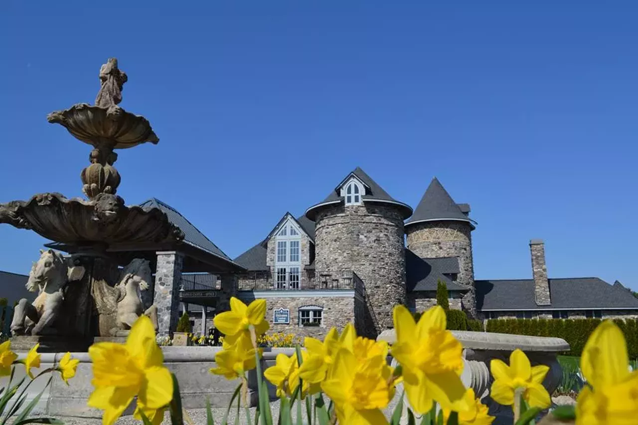 Castle Farms: From dairy farms to rock venues, Castle Farms has played host to many different identities in its nearly 100 year history but now it functions as a premier wedding destination. This regal brick castle from 1918 has charming flower-laden courtyards and several options for weddings. Most notably is the King&#146;s Indoor Chapel, a high ceiling stone cathedral with candelabra chandeliers that seats 300. Located at 5052 M-66, Charlevoix. Photo via Facebook user Castle Farms.