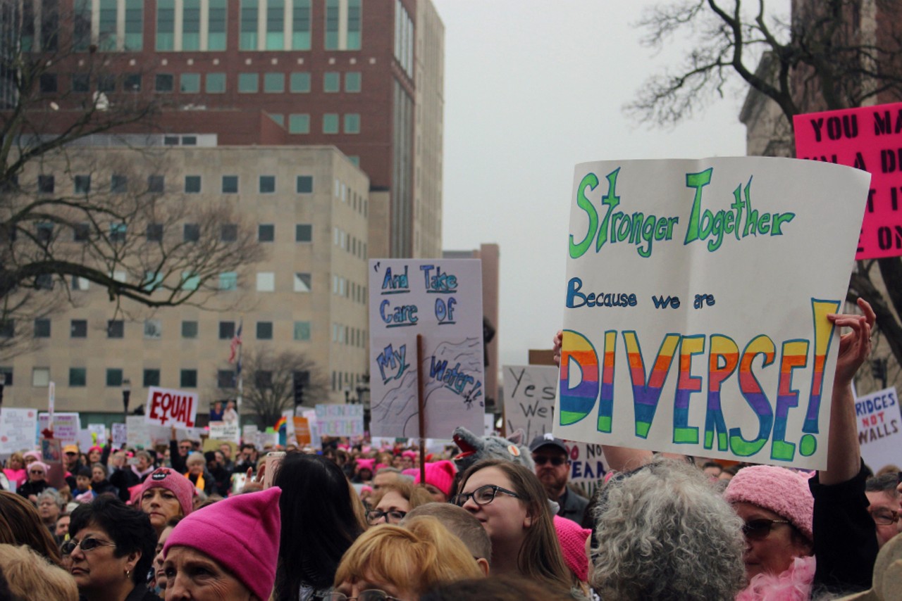 43 photos from the Lansing Women's March