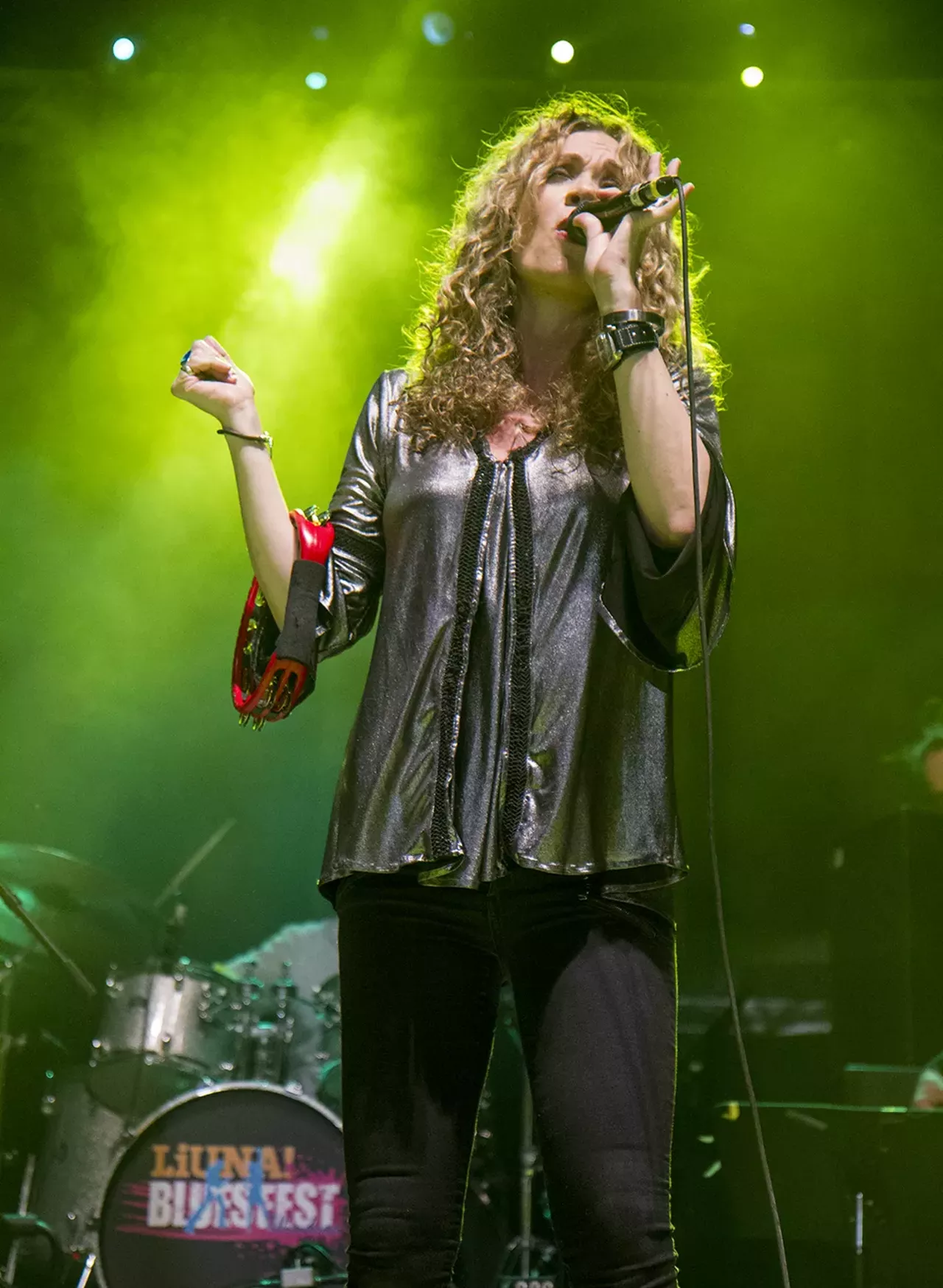 Image: 44 photos from the Windsor Bluesfest
