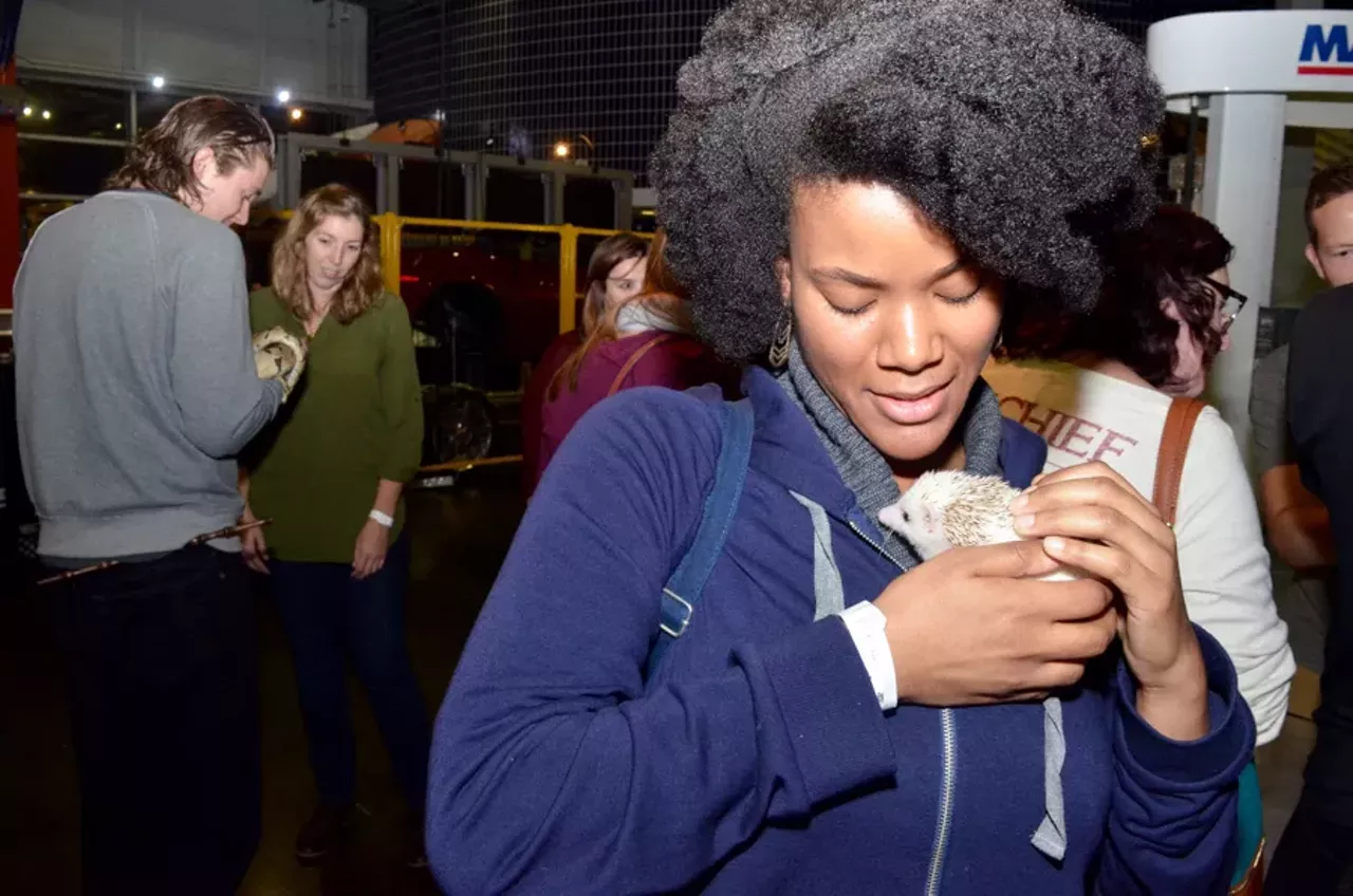 Image: 65 magical photos of Wizards and Wonder @ the Michigan Science Center