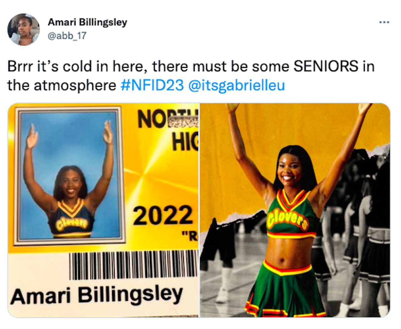 Image: 85 hilarious student ID photos by North Farmington High School seniors