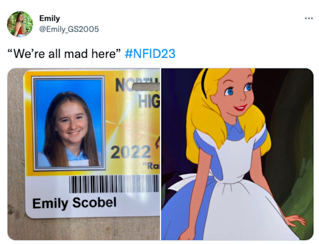Image: 85 hilarious student ID photos by North Farmington High School seniors