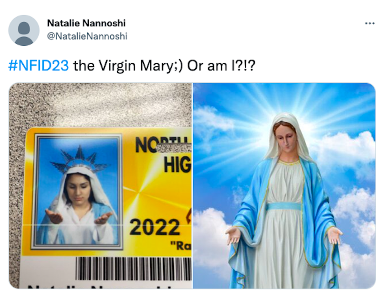 Image: 85 hilarious student ID photos by North Farmington High School seniors