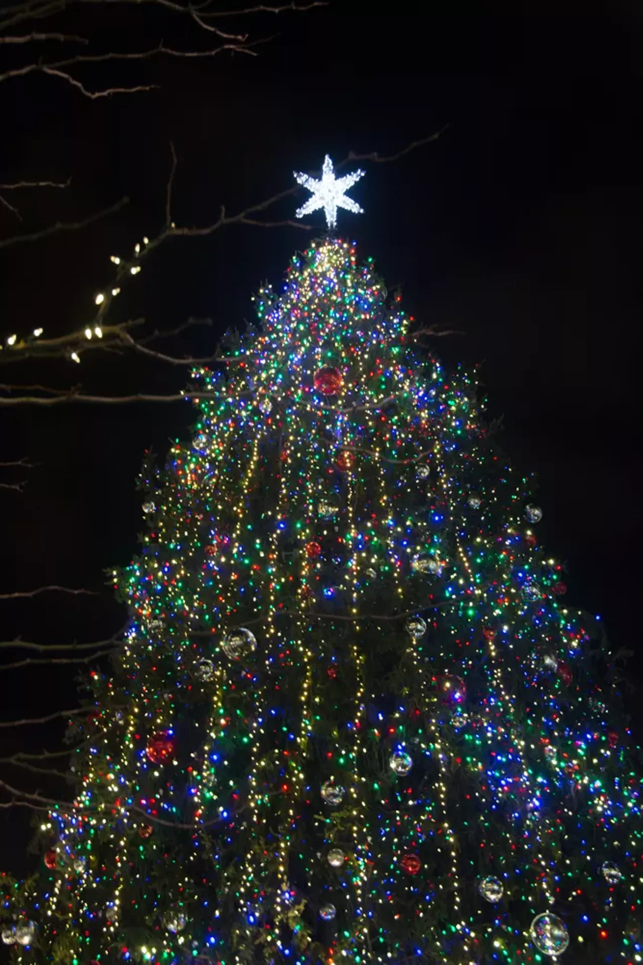 Image: 90 Pictures From Detroit's Tree Lighting Ceremony