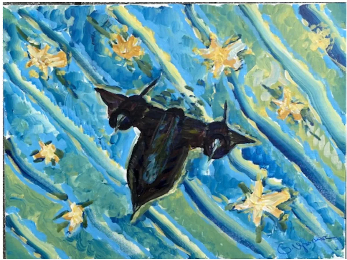 Blackbird