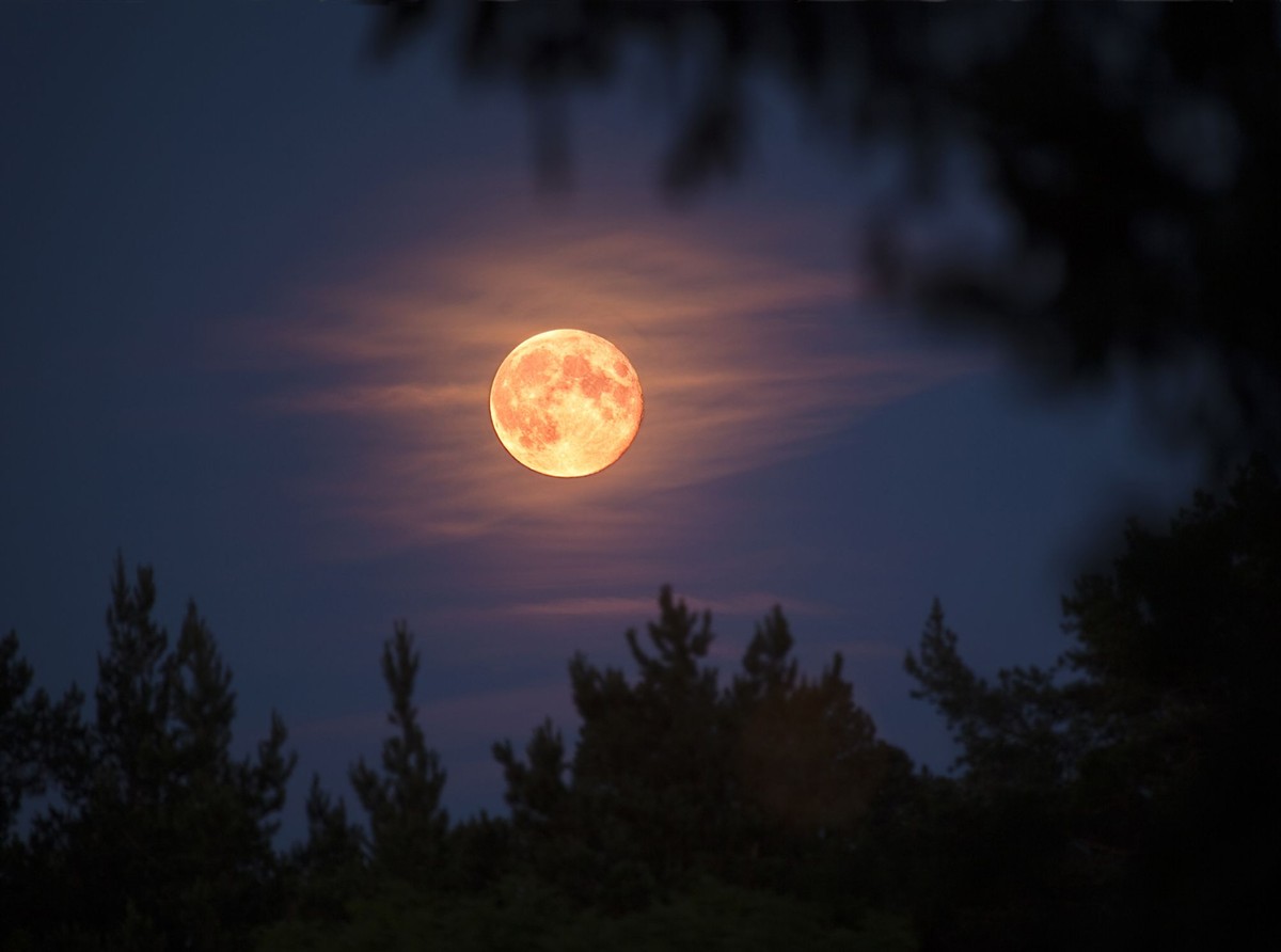 full-moon-royalty-free-image-1651843730.jpeg