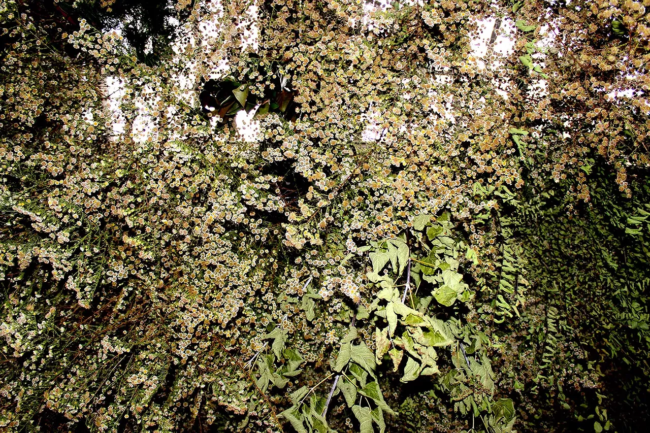 The Jam Handy was jam-packed with floral installations, from arrangements to hanging displays.