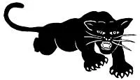 A new breed of Panther