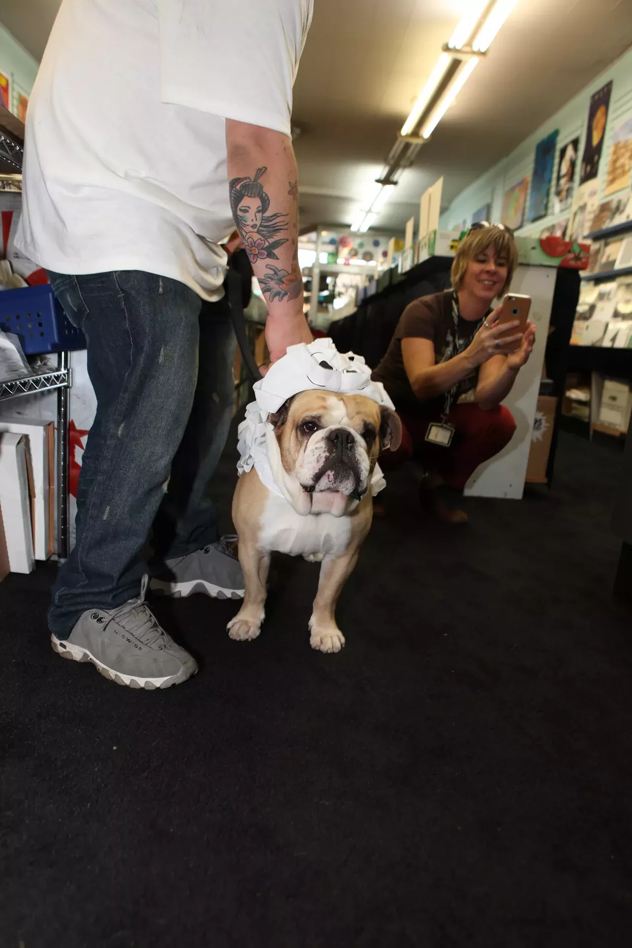 Image: All the adorable dogs we saw at Stormy Records Halloween costume contest
