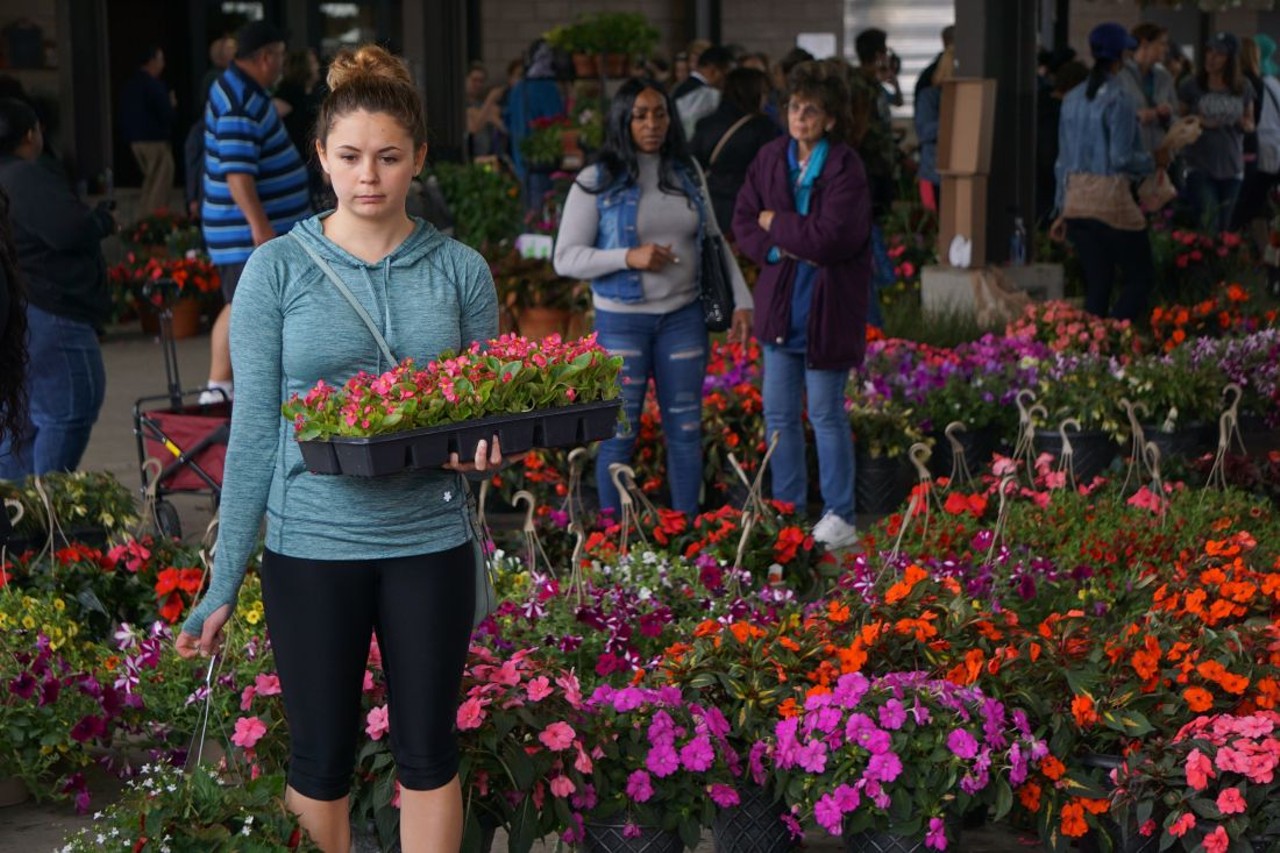All the beautiful flowers and people we saw at Eastern Market's Flower Day