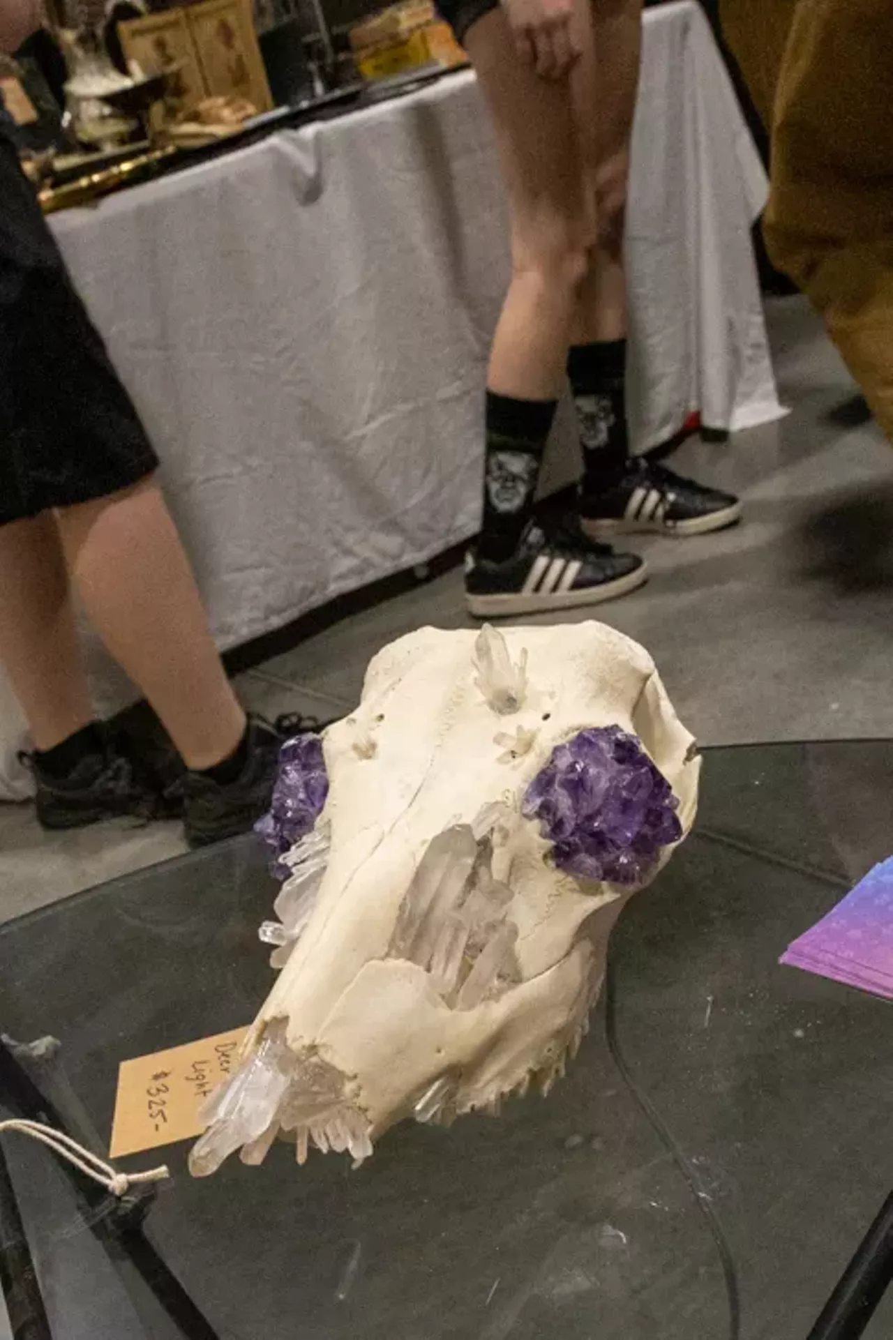 Image: All the freaks we saw at the 2021 Oddities and Curiosities Expo at Novi's Suburban Collection Showplace