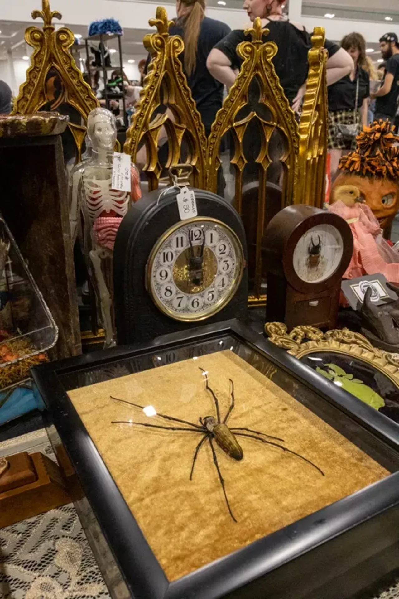 Image: All the freaks we saw at the 2021 Oddities and Curiosities Expo at Novi's Suburban Collection Showplace