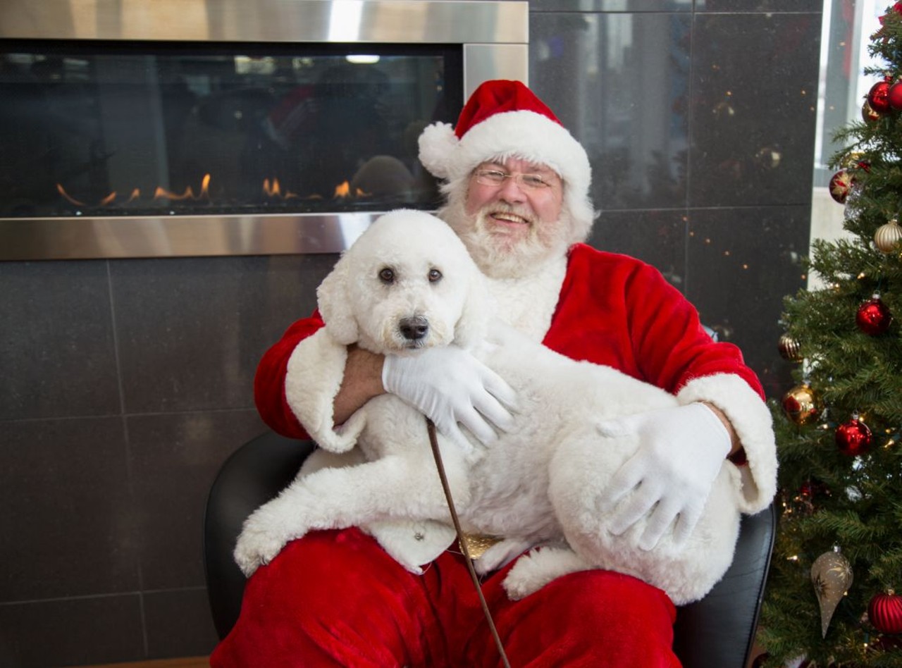 All the pups who met Santa at Hodges Subaru&#146;s 2019 iHeartDogs donation drive in Ferndale