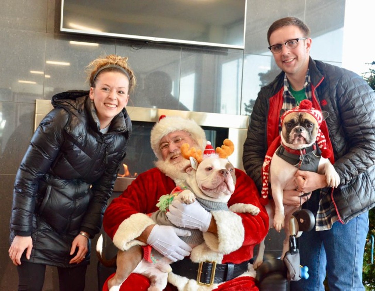 All the pups who met Santa at Hodges Subaru's iHEARTDOGS donation drive