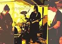 Ansonia - Photo / Ansonia