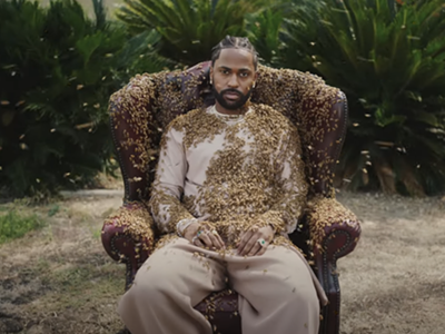 Big Sean is king bee in his latest video.