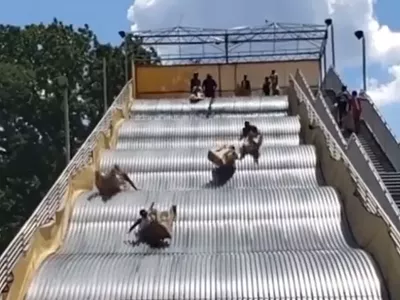 Image: Belle Isle’s giant slide in Detroit is outta control