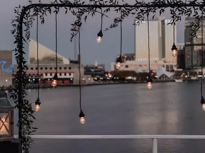 Image: Best Cruises in Baltimore – Seeing the Sights by Water & Exploring Nature