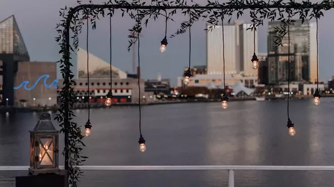 Image: Best Cruises in Baltimore – Seeing the Sights by Water & Exploring Nature
