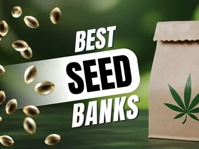 Image: Best Seed Banks in 2025: Cannabis Breeders to Buy Cannabis Seeds Online