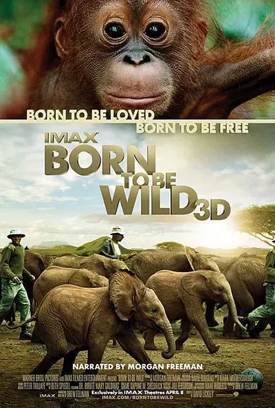 Image: Born to Be Wild