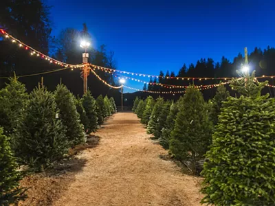 Buy your tree, real or fake, like, right now, folks.