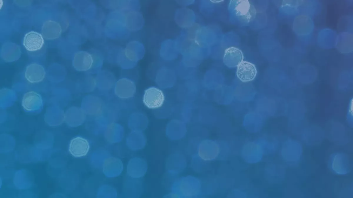 a6653880-7899-4f67-8067-1f95f4d158cf_124761_tablet_landscape_large_16_9.webp