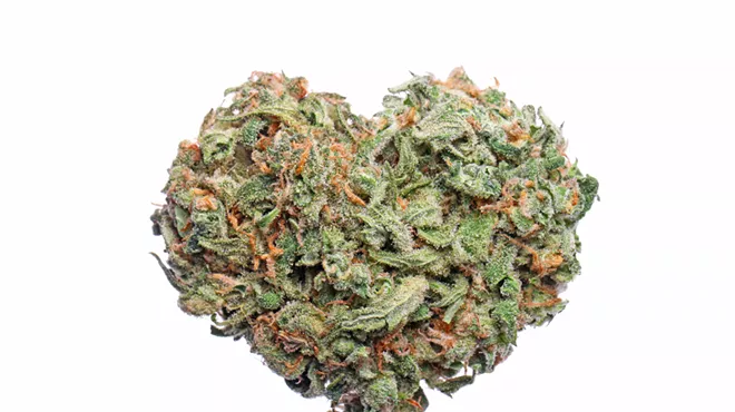 A new study found those who used cannabis within the past month were nearly twice as likely to have a heart attack.