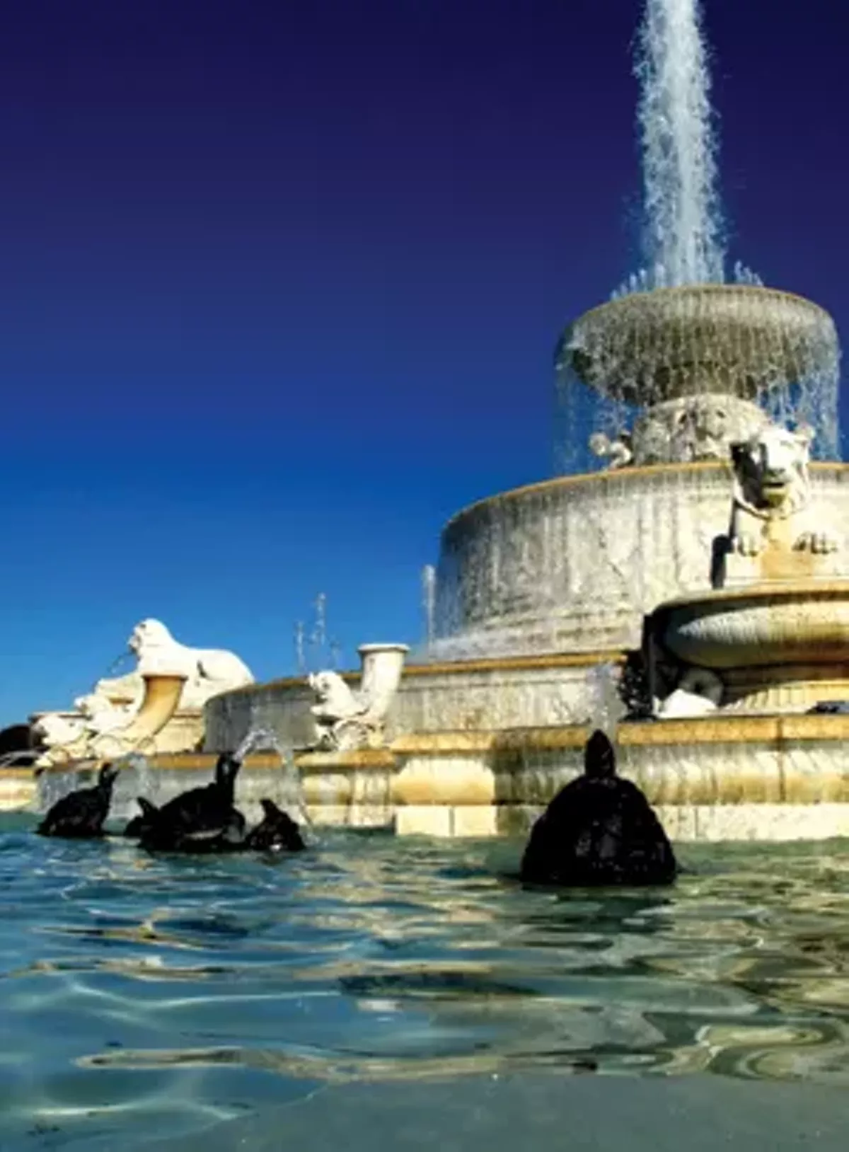 Detroit Metro Times picture